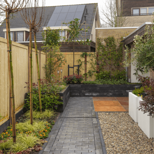 Het beste moment om uw nieuwe bomen te planten - BomenExpress